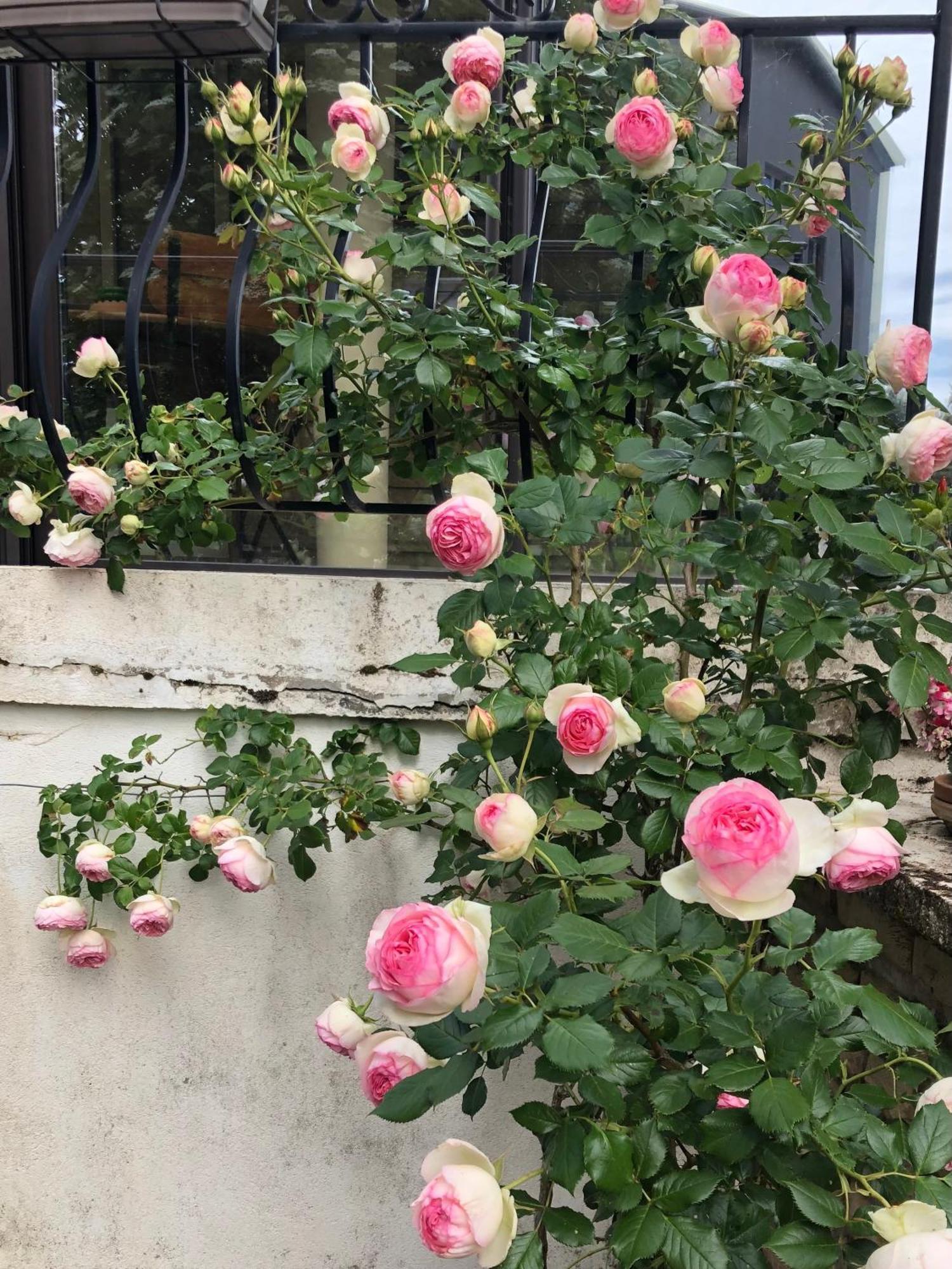 بون Le Jardin Des Verottes المظهر الخارجي الصورة